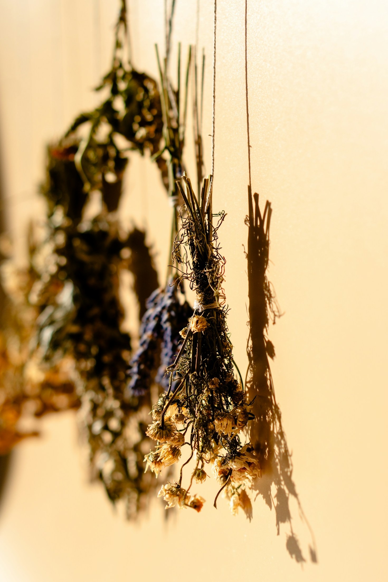 The Power of Timeless Rituals for Self-Discovery